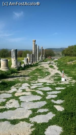 [P02] Drumul roman de intrare in Castabala » foto by octaviann
 - 
<span class="allrVoted glyphicon glyphicon-heart hidden" id="av1066574"></span>
<a class="m-l-10 hidden" id="sv1066574" onclick="voting_Foto_DelVot(,1066574,24821)" role="button">șterge vot <span class="glyphicon glyphicon-remove"></span></a>
<a id="v91066574" class=" c-red"  onclick="voting_Foto_SetVot(1066574)" role="button"><span class="glyphicon glyphicon-heart-empty"></span> <b>LIKE</b> = Votează poza</a> <img class="hidden"  id="f1066574W9" src="/imagini/loader.gif" border="0" /><span class="AjErrMes hidden" id="e1066574ErM"></span>
