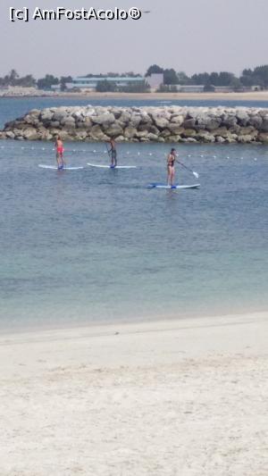 [P15]  -- <small>// FĂRĂ DESCRIERE</small> » foto by arub
 - 
<span class="allrVoted glyphicon glyphicon-heart hidden" id="av1051398"></span>
<a class="m-l-10 hidden" id="sv1051398" onclick="voting_Foto_DelVot(,1051398,24831)" role="button">șterge vot <span class="glyphicon glyphicon-remove"></span></a>
<a id="v91051398" class=" c-red"  onclick="voting_Foto_SetVot(1051398)" role="button"><span class="glyphicon glyphicon-heart-empty"></span> <b>LIKE</b> = Votează poza</a> <img class="hidden"  id="f1051398W9" src="/imagini/loader.gif" border="0" /><span class="AjErrMes hidden" id="e1051398ErM"></span>