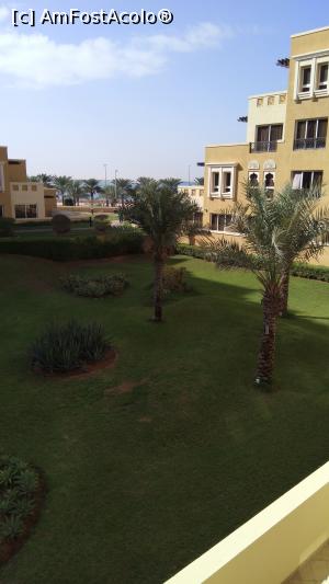 [P02]  -- <small>// FĂRĂ DESCRIERE</small> » foto by arub
 - 
<span class="allrVoted glyphicon glyphicon-heart hidden" id="av1051385"></span>
<a class="m-l-10 hidden" id="sv1051385" onclick="voting_Foto_DelVot(,1051385,24831)" role="button">șterge vot <span class="glyphicon glyphicon-remove"></span></a>
<a id="v91051385" class=" c-red"  onclick="voting_Foto_SetVot(1051385)" role="button"><span class="glyphicon glyphicon-heart-empty"></span> <b>LIKE</b> = Votează poza</a> <img class="hidden"  id="f1051385W9" src="/imagini/loader.gif" border="0" /><span class="AjErrMes hidden" id="e1051385ErM"></span>