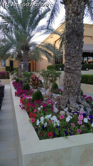 [P03]  -- <small>// FĂRĂ DESCRIERE</small> » foto by arub
 - 
<span class="allrVoted glyphicon glyphicon-heart hidden" id="av1051386"></span>
<a class="m-l-10 hidden" id="sv1051386" onclick="voting_Foto_DelVot(,1051386,24831)" role="button">șterge vot <span class="glyphicon glyphicon-remove"></span></a>
<a id="v91051386" class=" c-red"  onclick="voting_Foto_SetVot(1051386)" role="button"><span class="glyphicon glyphicon-heart-empty"></span> <b>LIKE</b> = Votează poza</a> <img class="hidden"  id="f1051386W9" src="/imagini/loader.gif" border="0" /><span class="AjErrMes hidden" id="e1051386ErM"></span>