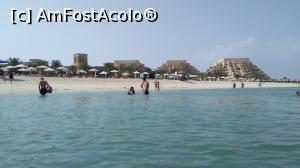 [P09]  -- <small>// FĂRĂ DESCRIERE</small> » foto by arub
 - 
<span class="allrVoted glyphicon glyphicon-heart hidden" id="av1051392"></span>
<a class="m-l-10 hidden" id="sv1051392" onclick="voting_Foto_DelVot(,1051392,24831)" role="button">șterge vot <span class="glyphicon glyphicon-remove"></span></a>
<a id="v91051392" class=" c-red"  onclick="voting_Foto_SetVot(1051392)" role="button"><span class="glyphicon glyphicon-heart-empty"></span> <b>LIKE</b> = Votează poza</a> <img class="hidden"  id="f1051392W9" src="/imagini/loader.gif" border="0" /><span class="AjErrMes hidden" id="e1051392ErM"></span>