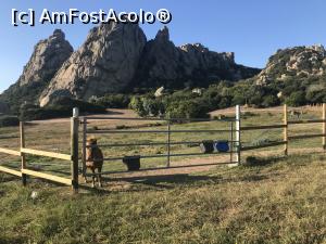 [P10] Locația are și un țarc pentru măgăruși și ponei.  » foto by Mika
 - 
<span class="allrVoted glyphicon glyphicon-heart hidden" id="av1051516"></span>
<a class="m-l-10 hidden" id="sv1051516" onclick="voting_Foto_DelVot(,1051516,24832)" role="button">șterge vot <span class="glyphicon glyphicon-remove"></span></a>
<a id="v91051516" class=" c-red"  onclick="voting_Foto_SetVot(1051516)" role="button"><span class="glyphicon glyphicon-heart-empty"></span> <b>LIKE</b> = Votează poza</a> <img class="hidden"  id="f1051516W9" src="/imagini/loader.gif" border="0" /><span class="AjErrMes hidden" id="e1051516ErM"></span>