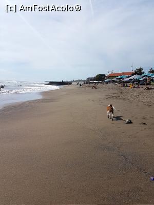 [P16] Canggu Beach » foto by r-Uca
 - 
<span class="allrVoted glyphicon glyphicon-heart hidden" id="av1053673"></span>
<a class="m-l-10 hidden" id="sv1053673" onclick="voting_Foto_DelVot(,1053673,24873)" role="button">șterge vot <span class="glyphicon glyphicon-remove"></span></a>
<a id="v91053673" class=" c-red"  onclick="voting_Foto_SetVot(1053673)" role="button"><span class="glyphicon glyphicon-heart-empty"></span> <b>LIKE</b> = Votează poza</a> <img class="hidden"  id="f1053673W9" src="/imagini/loader.gif" border="0" /><span class="AjErrMes hidden" id="e1053673ErM"></span>