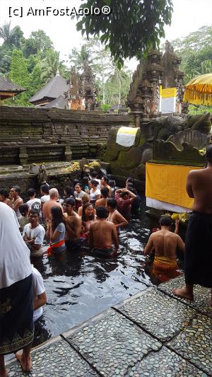 [P24] Pura Tirta Empul » foto by r-Uca
 - 
<span class="allrVoted glyphicon glyphicon-heart hidden" id="av1054321"></span>
<a class="m-l-10 hidden" id="sv1054321" onclick="voting_Foto_DelVot(,1054321,24873)" role="button">șterge vot <span class="glyphicon glyphicon-remove"></span></a>
<a id="v91054321" class=" c-red"  onclick="voting_Foto_SetVot(1054321)" role="button"><span class="glyphicon glyphicon-heart-empty"></span> <b>LIKE</b> = Votează poza</a> <img class="hidden"  id="f1054321W9" src="/imagini/loader.gif" border="0" /><span class="AjErrMes hidden" id="e1054321ErM"></span>