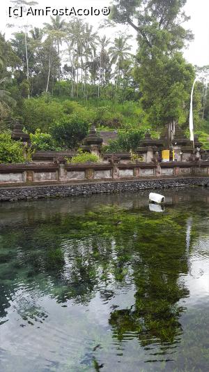 [P26] Pura Tirta Empul » foto by r-Uca
 - 
<span class="allrVoted glyphicon glyphicon-heart hidden" id="av1054323"></span>
<a class="m-l-10 hidden" id="sv1054323" onclick="voting_Foto_DelVot(,1054323,24873)" role="button">șterge vot <span class="glyphicon glyphicon-remove"></span></a>
<a id="v91054323" class=" c-red"  onclick="voting_Foto_SetVot(1054323)" role="button"><span class="glyphicon glyphicon-heart-empty"></span> <b>LIKE</b> = Votează poza</a> <img class="hidden"  id="f1054323W9" src="/imagini/loader.gif" border="0" /><span class="AjErrMes hidden" id="e1054323ErM"></span>