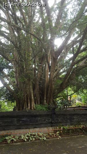 [P31] Pura Tirta Empul » foto by r-Uca
 - 
<span class="allrVoted glyphicon glyphicon-heart hidden" id="av1054328"></span>
<a class="m-l-10 hidden" id="sv1054328" onclick="voting_Foto_DelVot(,1054328,24873)" role="button">șterge vot <span class="glyphicon glyphicon-remove"></span></a>
<a id="v91054328" class=" c-red"  onclick="voting_Foto_SetVot(1054328)" role="button"><span class="glyphicon glyphicon-heart-empty"></span> <b>LIKE</b> = Votează poza</a> <img class="hidden"  id="f1054328W9" src="/imagini/loader.gif" border="0" /><span class="AjErrMes hidden" id="e1054328ErM"></span>