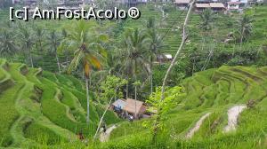 [P40] Tegallalang Rice Terrace » foto by r-Uca
 - 
<span class="allrVoted glyphicon glyphicon-heart hidden" id="av1054337"></span>
<a class="m-l-10 hidden" id="sv1054337" onclick="voting_Foto_DelVot(,1054337,24873)" role="button">șterge vot <span class="glyphicon glyphicon-remove"></span></a>
<a id="v91054337" class=" c-red"  onclick="voting_Foto_SetVot(1054337)" role="button"><span class="glyphicon glyphicon-heart-empty"></span> <b>LIKE</b> = Votează poza</a> <img class="hidden"  id="f1054337W9" src="/imagini/loader.gif" border="0" /><span class="AjErrMes hidden" id="e1054337ErM"></span>