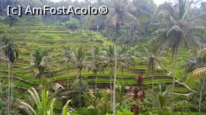 [P44] Tegallalang Rice Terrace » foto by r-Uca
 - 
<span class="allrVoted glyphicon glyphicon-heart hidden" id="av1054341"></span>
<a class="m-l-10 hidden" id="sv1054341" onclick="voting_Foto_DelVot(,1054341,24873)" role="button">șterge vot <span class="glyphicon glyphicon-remove"></span></a>
<a id="v91054341" class=" c-red"  onclick="voting_Foto_SetVot(1054341)" role="button"><span class="glyphicon glyphicon-heart-empty"></span> <b>LIKE</b> = Votează poza</a> <img class="hidden"  id="f1054341W9" src="/imagini/loader.gif" border="0" /><span class="AjErrMes hidden" id="e1054341ErM"></span>