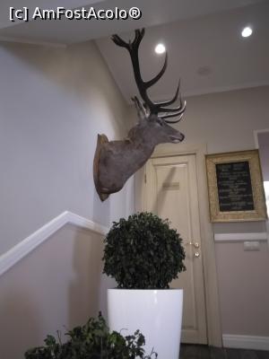 [P03] Bristol Hotel, St. Petersburg - la intrare în restaurant » foto by calator65
 - 
<span class="allrVoted glyphicon glyphicon-heart hidden" id="av1056387"></span>
<a class="m-l-10 hidden" id="sv1056387" onclick="voting_Foto_DelVot(,1056387,24922)" role="button">șterge vot <span class="glyphicon glyphicon-remove"></span></a>
<a id="v91056387" class=" c-red"  onclick="voting_Foto_SetVot(1056387)" role="button"><span class="glyphicon glyphicon-heart-empty"></span> <b>LIKE</b> = Votează poza</a> <img class="hidden"  id="f1056387W9" src="/imagini/loader.gif" border="0" /><span class="AjErrMes hidden" id="e1056387ErM"></span>