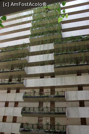 [P31] São Paulo, Maksoud Plaza Hotel holuri, camere și plante...  » foto by mprofeanu
 - 
<span class="allrVoted glyphicon glyphicon-heart hidden" id="av1056460"></span>
<a class="m-l-10 hidden" id="sv1056460" onclick="voting_Foto_DelVot(,1056460,24928)" role="button">șterge vot <span class="glyphicon glyphicon-remove"></span></a>
<a id="v91056460" class=" c-red"  onclick="voting_Foto_SetVot(1056460)" role="button"><span class="glyphicon glyphicon-heart-empty"></span> <b>LIKE</b> = Votează poza</a> <img class="hidden"  id="f1056460W9" src="/imagini/loader.gif" border="0" /><span class="AjErrMes hidden" id="e1056460ErM"></span>