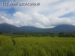 [P11] Jatiluwih Rice Terraces » foto by r-Uca
 - 
<span class="allrVoted glyphicon glyphicon-heart hidden" id="av1058077"></span>
<a class="m-l-10 hidden" id="sv1058077" onclick="voting_Foto_DelVot(,1058077,24939)" role="button">șterge vot <span class="glyphicon glyphicon-remove"></span></a>
<a id="v91058077" class=" c-red"  onclick="voting_Foto_SetVot(1058077)" role="button"><span class="glyphicon glyphicon-heart-empty"></span> <b>LIKE</b> = Votează poza</a> <img class="hidden"  id="f1058077W9" src="/imagini/loader.gif" border="0" /><span class="AjErrMes hidden" id="e1058077ErM"></span>