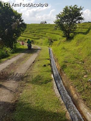 [P06] Jatiluwih Rice Terraces » foto by r-Uca
 - 
<span class="allrVoted glyphicon glyphicon-heart hidden" id="av1058072"></span>
<a class="m-l-10 hidden" id="sv1058072" onclick="voting_Foto_DelVot(,1058072,24939)" role="button">șterge vot <span class="glyphicon glyphicon-remove"></span></a>
<a id="v91058072" class=" c-red"  onclick="voting_Foto_SetVot(1058072)" role="button"><span class="glyphicon glyphicon-heart-empty"></span> <b>LIKE</b> = Votează poza</a> <img class="hidden"  id="f1058072W9" src="/imagini/loader.gif" border="0" /><span class="AjErrMes hidden" id="e1058072ErM"></span>