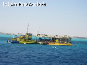 [P11] Transferul pe submarin » foto by bica adriana
 - 
<span class="allrVoted glyphicon glyphicon-heart hidden" id="av1057804"></span>
<a class="m-l-10 hidden" id="sv1057804" onclick="voting_Foto_DelVot(,1057804,24947)" role="button">șterge vot <span class="glyphicon glyphicon-remove"></span></a>
<a id="v91057804" class=" c-red"  onclick="voting_Foto_SetVot(1057804)" role="button"><span class="glyphicon glyphicon-heart-empty"></span> <b>LIKE</b> = Votează poza</a> <img class="hidden"  id="f1057804W9" src="/imagini/loader.gif" border="0" /><span class="AjErrMes hidden" id="e1057804ErM"></span>