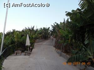 [P07] Un loc de relaxare la intrarea in plantatie » foto by pmanuela
 - 
<span class="allrVoted glyphicon glyphicon-heart hidden" id="av1057922"></span>
<a class="m-l-10 hidden" id="sv1057922" onclick="voting_Foto_DelVot(,1057922,24949)" role="button">șterge vot <span class="glyphicon glyphicon-remove"></span></a>
<a id="v91057922" class=" c-red"  onclick="voting_Foto_SetVot(1057922)" role="button"><span class="glyphicon glyphicon-heart-empty"></span> <b>LIKE</b> = Votează poza</a> <img class="hidden"  id="f1057922W9" src="/imagini/loader.gif" border="0" /><span class="AjErrMes hidden" id="e1057922ErM"></span>