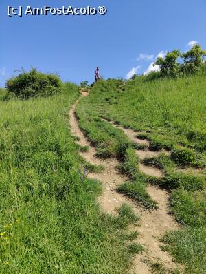 [P15] Traseul spre Cetatea Trascăului » foto by crismis
 - 
<span class="allrVoted glyphicon glyphicon-heart hidden" id="av1390453"></span>
<a class="m-l-10 hidden" id="sv1390453" onclick="voting_Foto_DelVot(,1390453,24963)" role="button">șterge vot <span class="glyphicon glyphicon-remove"></span></a>
<a id="v91390453" class=" c-red"  onclick="voting_Foto_SetVot(1390453)" role="button"><span class="glyphicon glyphicon-heart-empty"></span> <b>LIKE</b> = Votează poza</a> <img class="hidden"  id="f1390453W9" src="/imagini/loader.gif" border="0" /><span class="AjErrMes hidden" id="e1390453ErM"></span>