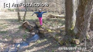 [P13] Un podeț » foto by ungureanica
 - 
<span class="allrVoted glyphicon glyphicon-heart hidden" id="av1061355"></span>
<a class="m-l-10 hidden" id="sv1061355" onclick="voting_Foto_DelVot(,1061355,24991)" role="button">șterge vot <span class="glyphicon glyphicon-remove"></span></a>
<a id="v91061355" class=" c-red"  onclick="voting_Foto_SetVot(1061355)" role="button"><span class="glyphicon glyphicon-heart-empty"></span> <b>LIKE</b> = Votează poza</a> <img class="hidden"  id="f1061355W9" src="/imagini/loader.gif" border="0" /><span class="AjErrMes hidden" id="e1061355ErM"></span>