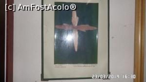 [P36] Muzeul de Mineralogie Estetică din Ocna de Fier. Macla Gruescu.  » foto by ungureanica
 - 
<span class="allrVoted glyphicon glyphicon-heart hidden" id="av1061724"></span>
<a class="m-l-10 hidden" id="sv1061724" onclick="voting_Foto_DelVot(,1061724,24991)" role="button">șterge vot <span class="glyphicon glyphicon-remove"></span></a>
<a id="v91061724" class=" c-red"  onclick="voting_Foto_SetVot(1061724)" role="button"><span class="glyphicon glyphicon-heart-empty"></span> <b>LIKE</b> = Votează poza</a> <img class="hidden"  id="f1061724W9" src="/imagini/loader.gif" border="0" /><span class="AjErrMes hidden" id="e1061724ErM"></span>