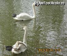 [P43]  -- <small>// FĂRĂ DESCRIERE</small> » foto by Klaudyia
 - 
<span class="allrVoted glyphicon glyphicon-heart hidden" id="av310615"></span>
<a class="m-l-10 hidden" id="sv310615" onclick="voting_Foto_DelVot(,310615,25001)" role="button">șterge vot <span class="glyphicon glyphicon-remove"></span></a>
<a id="v9310615" class=" c-red"  onclick="voting_Foto_SetVot(310615)" role="button"><span class="glyphicon glyphicon-heart-empty"></span> <b>LIKE</b> = Votează poza</a> <img class="hidden"  id="f310615W9" src="/imagini/loader.gif" border="0" /><span class="AjErrMes hidden" id="e310615ErM"></span>