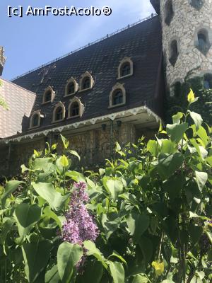 [P12] Castelul Ravadinovo » foto by krisstinna
 - 
<span class="allrVoted glyphicon glyphicon-heart hidden" id="av1067578"></span>
<a class="m-l-10 hidden" id="sv1067578" onclick="voting_Foto_DelVot(,1067578,25001)" role="button">șterge vot <span class="glyphicon glyphicon-remove"></span></a>
<a id="v91067578" class=" c-red"  onclick="voting_Foto_SetVot(1067578)" role="button"><span class="glyphicon glyphicon-heart-empty"></span> <b>LIKE</b> = Votează poza</a> <img class="hidden"  id="f1067578W9" src="/imagini/loader.gif" border="0" /><span class="AjErrMes hidden" id="e1067578ErM"></span>