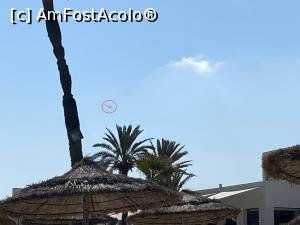 [P89] Iberostar Kuriat Palace - avion » foto by nicole33
 - 
<span class="allrVoted glyphicon glyphicon-heart hidden" id="av1308438"></span>
<a class="m-l-10 hidden" id="sv1308438" onclick="voting_Foto_DelVot(,1308438,25002)" role="button">șterge vot <span class="glyphicon glyphicon-remove"></span></a>
<a id="v91308438" class=" c-red"  onclick="voting_Foto_SetVot(1308438)" role="button"><span class="glyphicon glyphicon-heart-empty"></span> <b>LIKE</b> = Votează poza</a> <img class="hidden"  id="f1308438W9" src="/imagini/loader.gif" border="0" /><span class="AjErrMes hidden" id="e1308438ErM"></span>