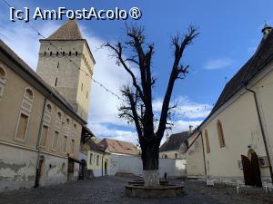 [P23] Biserica fortificată Sf Margareta ,curtea interioară » foto by AZE
 - 
<span class="allrVoted glyphicon glyphicon-heart hidden" id="av1403411"></span>
<a class="m-l-10 hidden" id="sv1403411" onclick="voting_Foto_DelVot(,1403411,25046)" role="button">șterge vot <span class="glyphicon glyphicon-remove"></span></a>
<a id="v91403411" class=" c-red"  onclick="voting_Foto_SetVot(1403411)" role="button"><span class="glyphicon glyphicon-heart-empty"></span> <b>LIKE</b> = Votează poza</a> <img class="hidden"  id="f1403411W9" src="/imagini/loader.gif" border="0" /><span class="AjErrMes hidden" id="e1403411ErM"></span>