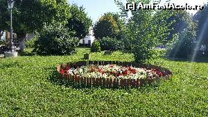 [P24] Parcul din Piata Regele Ferdinand I » foto by sed
 - 
<span class="allrVoted glyphicon glyphicon-heart hidden" id="av661472"></span>
<a class="m-l-10 hidden" id="sv661472" onclick="voting_Foto_DelVot(,661472,25046)" role="button">șterge vot <span class="glyphicon glyphicon-remove"></span></a>
<a id="v9661472" class=" c-red"  onclick="voting_Foto_SetVot(661472)" role="button"><span class="glyphicon glyphicon-heart-empty"></span> <b>LIKE</b> = Votează poza</a> <img class="hidden"  id="f661472W9" src="/imagini/loader.gif" border="0" /><span class="AjErrMes hidden" id="e661472ErM"></span>