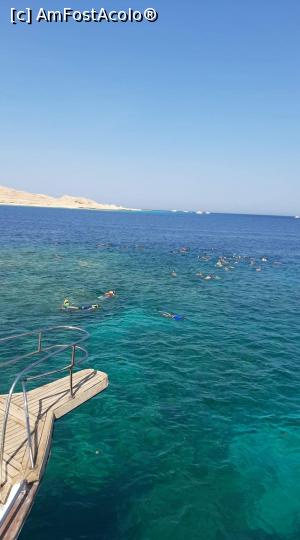 [P03] Snorkeling » foto by Carvar221
 - 
<span class="allrVoted glyphicon glyphicon-heart hidden" id="av1155270"></span>
<a class="m-l-10 hidden" id="sv1155270" onclick="voting_Foto_DelVot(,1155270,25115)" role="button">șterge vot <span class="glyphicon glyphicon-remove"></span></a>
<a id="v91155270" class=" c-red"  onclick="voting_Foto_SetVot(1155270)" role="button"><span class="glyphicon glyphicon-heart-empty"></span> <b>LIKE</b> = Votează poza</a> <img class="hidden"  id="f1155270W9" src="/imagini/loader.gif" border="0" /><span class="AjErrMes hidden" id="e1155270ErM"></span>