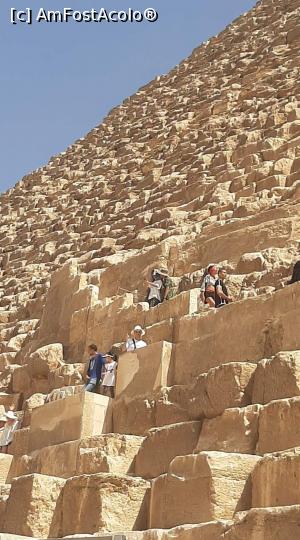 [P04] Piramide » foto by Carvar221
 - 
<span class="allrVoted glyphicon glyphicon-heart hidden" id="av1155271"></span>
<a class="m-l-10 hidden" id="sv1155271" onclick="voting_Foto_DelVot(,1155271,25115)" role="button">șterge vot <span class="glyphicon glyphicon-remove"></span></a>
<a id="v91155271" class=" c-red"  onclick="voting_Foto_SetVot(1155271)" role="button"><span class="glyphicon glyphicon-heart-empty"></span> <b>LIKE</b> = Votează poza</a> <img class="hidden"  id="f1155271W9" src="/imagini/loader.gif" border="0" /><span class="AjErrMes hidden" id="e1155271ErM"></span>