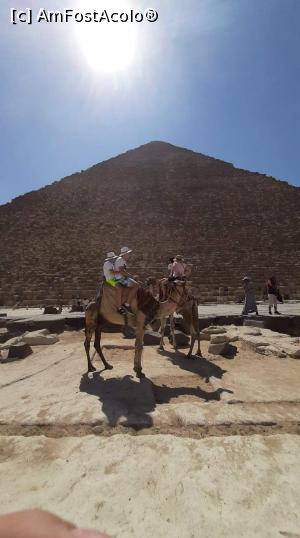 [P05] Piramide » foto by Carvar221
 - 
<span class="allrVoted glyphicon glyphicon-heart hidden" id="av1155272"></span>
<a class="m-l-10 hidden" id="sv1155272" onclick="voting_Foto_DelVot(,1155272,25115)" role="button">șterge vot <span class="glyphicon glyphicon-remove"></span></a>
<a id="v91155272" class=" c-red"  onclick="voting_Foto_SetVot(1155272)" role="button"><span class="glyphicon glyphicon-heart-empty"></span> <b>LIKE</b> = Votează poza</a> <img class="hidden"  id="f1155272W9" src="/imagini/loader.gif" border="0" /><span class="AjErrMes hidden" id="e1155272ErM"></span>