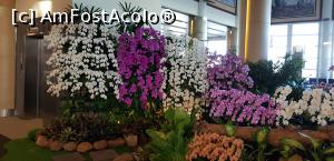 [P32] Și, preferatele mele, în aeroport » foto by corina71*
 - 
<span class="allrVoted glyphicon glyphicon-heart hidden" id="av1070959"></span>
<a class="m-l-10 hidden" id="sv1070959" onclick="voting_Foto_DelVot(,1070959,25150)" role="button">șterge vot <span class="glyphicon glyphicon-remove"></span></a>
<a id="v91070959" class=" c-red"  onclick="voting_Foto_SetVot(1070959)" role="button"><span class="glyphicon glyphicon-heart-empty"></span> <b>LIKE</b> = Votează poza</a> <img class="hidden"  id="f1070959W9" src="/imagini/loader.gif" border="0" /><span class="AjErrMes hidden" id="e1070959ErM"></span>