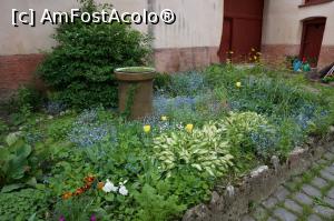 [P17] In curtea bisericii » foto by catrinel
 - 
<span class="allrVoted glyphicon glyphicon-heart hidden" id="av1071100"></span>
<a class="m-l-10 hidden" id="sv1071100" onclick="voting_Foto_DelVot(,1071100,25156)" role="button">șterge vot <span class="glyphicon glyphicon-remove"></span></a>
<a id="v91071100" class=" c-red"  onclick="voting_Foto_SetVot(1071100)" role="button"><span class="glyphicon glyphicon-heart-empty"></span> <b>LIKE</b> = Votează poza</a> <img class="hidden"  id="f1071100W9" src="/imagini/loader.gif" border="0" /><span class="AjErrMes hidden" id="e1071100ErM"></span>