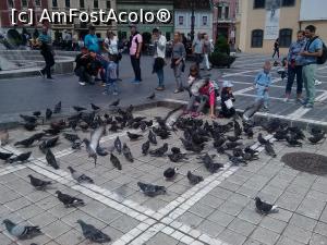 [P01] Piata Sfatului din Brasov » foto by dorgo
 - 
<span class="allrVoted glyphicon glyphicon-heart hidden" id="av774967"></span>
<a class="m-l-10 hidden" id="sv774967" onclick="voting_Foto_DelVot(,774967,25156)" role="button">șterge vot <span class="glyphicon glyphicon-remove"></span></a>
<a id="v9774967" class=" c-red"  onclick="voting_Foto_SetVot(774967)" role="button"><span class="glyphicon glyphicon-heart-empty"></span> <b>LIKE</b> = Votează poza</a> <img class="hidden"  id="f774967W9" src="/imagini/loader.gif" border="0" /><span class="AjErrMes hidden" id="e774967ErM"></span>