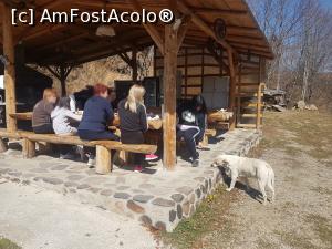 [P14] Zona de grătar... plus Leo, cățelul super simpatic și prietenos al gazdelor » foto by Alina Roxana
 - 
<span class="allrVoted glyphicon glyphicon-heart hidden" id="av1073362"></span>
<a class="m-l-10 hidden" id="sv1073362" onclick="voting_Foto_DelVot(,1073362,25183)" role="button">șterge vot <span class="glyphicon glyphicon-remove"></span></a>
<a id="v91073362" class=" c-red"  onclick="voting_Foto_SetVot(1073362)" role="button"><span class="glyphicon glyphicon-heart-empty"></span> <b>LIKE</b> = Votează poza</a> <img class="hidden"  id="f1073362W9" src="/imagini/loader.gif" border="0" /><span class="AjErrMes hidden" id="e1073362ErM"></span>
