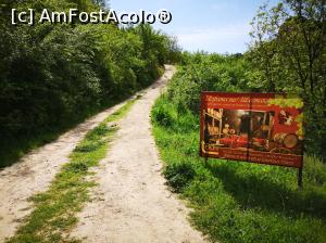 [P16] Către micuța cramă Shestaka » foto by crismis
 - 
<span class="allrVoted glyphicon glyphicon-heart hidden" id="av1075067"></span>
<a class="m-l-10 hidden" id="sv1075067" onclick="voting_Foto_DelVot(,1075067,25201)" role="button">șterge vot <span class="glyphicon glyphicon-remove"></span></a>
<a id="v91075067" class=" c-red"  onclick="voting_Foto_SetVot(1075067)" role="button"><span class="glyphicon glyphicon-heart-empty"></span> <b>LIKE</b> = Votează poza</a> <img class="hidden"  id="f1075067W9" src="/imagini/loader.gif" border="0" /><span class="AjErrMes hidden" id="e1075067ErM"></span>