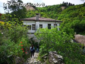 [P20] La plimbare prin fermecătorul Melnik » foto by crismis
 - 
<span class="allrVoted glyphicon glyphicon-heart hidden" id="av1075073"></span>
<a class="m-l-10 hidden" id="sv1075073" onclick="voting_Foto_DelVot(,1075073,25201)" role="button">șterge vot <span class="glyphicon glyphicon-remove"></span></a>
<a id="v91075073" class=" c-red"  onclick="voting_Foto_SetVot(1075073)" role="button"><span class="glyphicon glyphicon-heart-empty"></span> <b>LIKE</b> = Votează poza</a> <img class="hidden"  id="f1075073W9" src="/imagini/loader.gif" border="0" /><span class="AjErrMes hidden" id="e1075073ErM"></span>