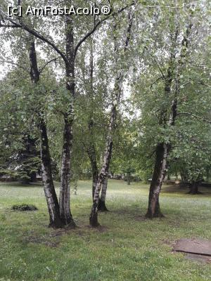 [P22] verdele crud din crang » foto by adrianbogdan
 - 
<span class="allrVoted glyphicon glyphicon-heart hidden" id="av1076212"></span>
<a class="m-l-10 hidden" id="sv1076212" onclick="voting_Foto_DelVot(,1076212,25219)" role="button">șterge vot <span class="glyphicon glyphicon-remove"></span></a>
<a id="v91076212" class=" c-red"  onclick="voting_Foto_SetVot(1076212)" role="button"><span class="glyphicon glyphicon-heart-empty"></span> <b>LIKE</b> = Votează poza</a> <img class="hidden"  id="f1076212W9" src="/imagini/loader.gif" border="0" /><span class="AjErrMes hidden" id="e1076212ErM"></span>