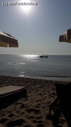 [P12]  -- <small>// FĂRĂ DESCRIERE</small> » foto by Eliza Eliza
 - 
<span class="allrVoted glyphicon glyphicon-heart hidden" id="av1094274"></span>
<a class="m-l-10 hidden" id="sv1094274" onclick="voting_Foto_DelVot(,1094274,25225)" role="button">șterge vot <span class="glyphicon glyphicon-remove"></span></a>
<a id="v91094274" class=" c-red"  onclick="voting_Foto_SetVot(1094274)" role="button"><span class="glyphicon glyphicon-heart-empty"></span> <b>LIKE</b> = Votează poza</a> <img class="hidden"  id="f1094274W9" src="/imagini/loader.gif" border="0" /><span class="AjErrMes hidden" id="e1094274ErM"></span>