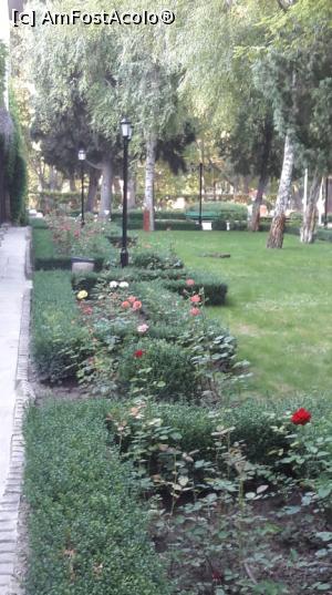 [P08]  -- <small>// FĂRĂ DESCRIERE</small> » foto by Eliza Eliza
 - 
<span class="allrVoted glyphicon glyphicon-heart hidden" id="av1094270"></span>
<a class="m-l-10 hidden" id="sv1094270" onclick="voting_Foto_DelVot(,1094270,25225)" role="button">șterge vot <span class="glyphicon glyphicon-remove"></span></a>
<a id="v91094270" class=" c-red"  onclick="voting_Foto_SetVot(1094270)" role="button"><span class="glyphicon glyphicon-heart-empty"></span> <b>LIKE</b> = Votează poza</a> <img class="hidden"  id="f1094270W9" src="/imagini/loader.gif" border="0" /><span class="AjErrMes hidden" id="e1094270ErM"></span>