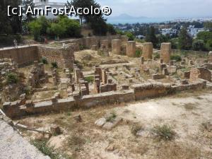 [P24] Cartagina - Cartierul Punic.  » foto by iulianic
 - 
<span class="allrVoted glyphicon glyphicon-heart hidden" id="av1076774"></span>
<a class="m-l-10 hidden" id="sv1076774" onclick="voting_Foto_DelVot(,1076774,25227)" role="button">șterge vot <span class="glyphicon glyphicon-remove"></span></a>
<a id="v91076774" class=" c-red"  onclick="voting_Foto_SetVot(1076774)" role="button"><span class="glyphicon glyphicon-heart-empty"></span> <b>LIKE</b> = Votează poza</a> <img class="hidden"  id="f1076774W9" src="/imagini/loader.gif" border="0" /><span class="AjErrMes hidden" id="e1076774ErM"></span>