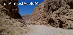 [P03] plecarea cu atv urile. drumul era abia la inceput. dupa aceea nu am mai putut fotografia! :( » foto by adutza_ghiocel
 - 
<span class="allrVoted glyphicon glyphicon-heart hidden" id="av1077183"></span>
<a class="m-l-10 hidden" id="sv1077183" onclick="voting_Foto_DelVot(,1077183,25231)" role="button">șterge vot <span class="glyphicon glyphicon-remove"></span></a>
<a id="v91077183" class=" c-red"  onclick="voting_Foto_SetVot(1077183)" role="button"><span class="glyphicon glyphicon-heart-empty"></span> <b>LIKE</b> = Votează poza</a> <img class="hidden"  id="f1077183W9" src="/imagini/loader.gif" border="0" /><span class="AjErrMes hidden" id="e1077183ErM"></span>