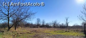 [P18] Ternul unde se afla „castelul” Catargiu. » foto by tata123 🔱
 - 
<span class="allrVoted glyphicon glyphicon-heart hidden" id="av1412786"></span>
<a class="m-l-10 hidden" id="sv1412786" onclick="voting_Foto_DelVot(,1412786,25270)" role="button">șterge vot <span class="glyphicon glyphicon-remove"></span></a>
<a id="v91412786" class=" c-red"  onclick="voting_Foto_SetVot(1412786)" role="button"><span class="glyphicon glyphicon-heart-empty"></span> <b>LIKE</b> = Votează poza</a> <img class="hidden"  id="f1412786W9" src="/imagini/loader.gif" border="0" /><span class="AjErrMes hidden" id="e1412786ErM"></span>
