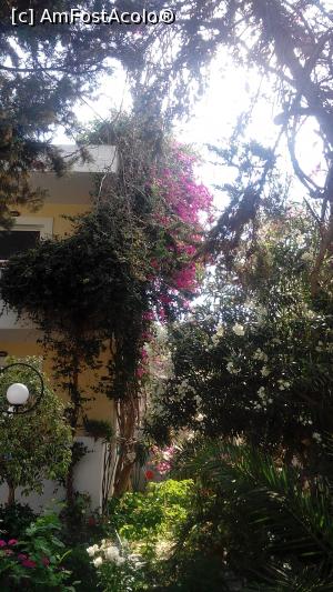 [P12] Hotelul de vis-avis, nu se prea vede, e scufunat intr-o mare de vegetaie si flori » foto by dorgo
 - 
<span class="allrVoted glyphicon glyphicon-heart hidden" id="av1125388"></span>
<a class="m-l-10 hidden" id="sv1125388" onclick="voting_Foto_DelVot(,1125388,25283)" role="button">șterge vot <span class="glyphicon glyphicon-remove"></span></a>
<a id="v91125388" class=" c-red"  onclick="voting_Foto_SetVot(1125388)" role="button"><span class="glyphicon glyphicon-heart-empty"></span> <b>LIKE</b> = Votează poza</a> <img class="hidden"  id="f1125388W9" src="/imagini/loader.gif" border="0" /><span class="AjErrMes hidden" id="e1125388ErM"></span>