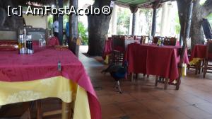 [P23] un paun prin Baraca, astepta sa fie si el tratat » foto by grecudoina
 - 
<span class="allrVoted glyphicon glyphicon-heart hidden" id="av1081778"></span>
<a class="m-l-10 hidden" id="sv1081778" onclick="voting_Foto_DelVot(,1081778,25298)" role="button">șterge vot <span class="glyphicon glyphicon-remove"></span></a>
<a id="v91081778" class=" c-red"  onclick="voting_Foto_SetVot(1081778)" role="button"><span class="glyphicon glyphicon-heart-empty"></span> <b>LIKE</b> = Votează poza</a> <img class="hidden"  id="f1081778W9" src="/imagini/loader.gif" border="0" /><span class="AjErrMes hidden" id="e1081778ErM"></span>