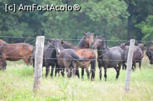 [P03] Frumusetile cu care nu stii daca te mai intalnesti » foto by cristianam
 - 
<span class="allrVoted glyphicon glyphicon-heart hidden" id="av756548"></span>
<a class="m-l-10 hidden" id="sv756548" onclick="voting_Foto_DelVot(,756548,25326)" role="button">șterge vot <span class="glyphicon glyphicon-remove"></span></a>
<a id="v9756548" class=" c-red"  onclick="voting_Foto_SetVot(756548)" role="button"><span class="glyphicon glyphicon-heart-empty"></span> <b>LIKE</b> = Votează poza</a> <img class="hidden"  id="f756548W9" src="/imagini/loader.gif" border="0" /><span class="AjErrMes hidden" id="e756548ErM"></span>