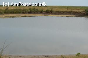 [P09] Lacul sarat despre care se spune ca ar avea adancime de 7 m » foto by cristianam
 - 
<span class="allrVoted glyphicon glyphicon-heart hidden" id="av756554"></span>
<a class="m-l-10 hidden" id="sv756554" onclick="voting_Foto_DelVot(,756554,25326)" role="button">șterge vot <span class="glyphicon glyphicon-remove"></span></a>
<a id="v9756554" class=" c-red"  onclick="voting_Foto_SetVot(756554)" role="button"><span class="glyphicon glyphicon-heart-empty"></span> <b>LIKE</b> = Votează poza</a> <img class="hidden"  id="f756554W9" src="/imagini/loader.gif" border="0" /><span class="AjErrMes hidden" id="e756554ErM"></span>