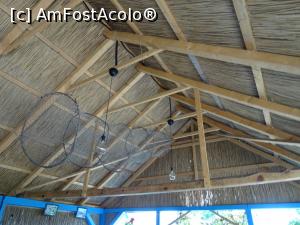 [P17] Plase de pește atârnate cu scop decorativ.  » foto by tata123 🔱
 - 
<span class="allrVoted glyphicon glyphicon-heart hidden" id="av1083228"></span>
<a class="m-l-10 hidden" id="sv1083228" onclick="voting_Foto_DelVot(,1083228,25327)" role="button">șterge vot <span class="glyphicon glyphicon-remove"></span></a>
<a id="v91083228" class=" c-red"  onclick="voting_Foto_SetVot(1083228)" role="button"><span class="glyphicon glyphicon-heart-empty"></span> <b>LIKE</b> = Votează poza</a> <img class="hidden"  id="f1083228W9" src="/imagini/loader.gif" border="0" /><span class="AjErrMes hidden" id="e1083228ErM"></span>