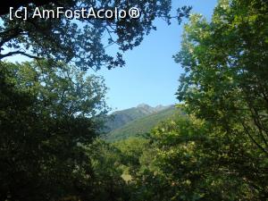[P22] Vedere de la balcon spre muntele insulei, Saos, 1611 m.  » foto by Aurici
 - 
<span class="allrVoted glyphicon glyphicon-heart hidden" id="av1084023"></span>
<a class="m-l-10 hidden" id="sv1084023" onclick="voting_Foto_DelVot(,1084023,25342)" role="button">șterge vot <span class="glyphicon glyphicon-remove"></span></a>
<a id="v91084023" class=" c-red"  onclick="voting_Foto_SetVot(1084023)" role="button"><span class="glyphicon glyphicon-heart-empty"></span> <b>LIKE</b> = Votează poza</a> <img class="hidden"  id="f1084023W9" src="/imagini/loader.gif" border="0" /><span class="AjErrMes hidden" id="e1084023ErM"></span>