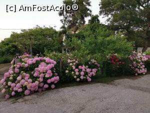[P37] Alte case, vecine cu Akamatis.  » foto by Aurici
 - 
<span class="allrVoted glyphicon glyphicon-heart hidden" id="av1084038"></span>
<a class="m-l-10 hidden" id="sv1084038" onclick="voting_Foto_DelVot(,1084038,25342)" role="button">șterge vot <span class="glyphicon glyphicon-remove"></span></a>
<a id="v91084038" class=" c-red"  onclick="voting_Foto_SetVot(1084038)" role="button"><span class="glyphicon glyphicon-heart-empty"></span> <b>LIKE</b> = Votează poza</a> <img class="hidden"  id="f1084038W9" src="/imagini/loader.gif" border="0" /><span class="AjErrMes hidden" id="e1084038ErM"></span>