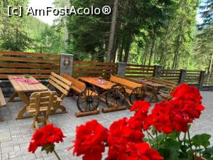 [P08] Aceeasi alee, o poza gasita pe net » foto by adrianaglogo <span class="label label-default labelC_thin small">NEVOTABILĂ</span>