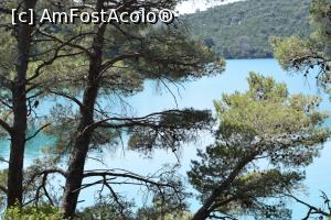 [P10] Mali Jezero - lacul mic » foto by adina p.
 - 
<span class="allrVoted glyphicon glyphicon-heart hidden" id="av1085838"></span>
<a class="m-l-10 hidden" id="sv1085838" onclick="voting_Foto_DelVot(,1085838,25379)" role="button">șterge vot <span class="glyphicon glyphicon-remove"></span></a>
<a id="v91085838" class=" c-red"  onclick="voting_Foto_SetVot(1085838)" role="button"><span class="glyphicon glyphicon-heart-empty"></span> <b>LIKE</b> = Votează poza</a> <img class="hidden"  id="f1085838W9" src="/imagini/loader.gif" border="0" /><span class="AjErrMes hidden" id="e1085838ErM"></span>